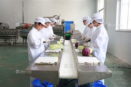 沙拉净菜生产线公司