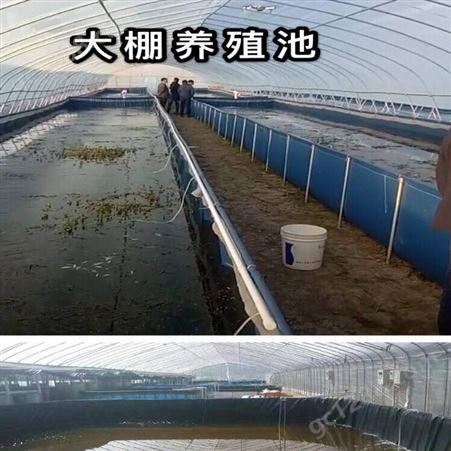 水产养殖帆布水袋加工、养殖虾池定做无气味