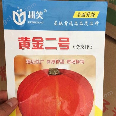 陕西红南瓜种子，市场品种，大基地种植品种育种基地批发