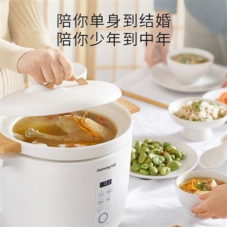 Joyoung/九阳 D-35Z3北山系列陶瓷电炖锅3.5L全自动电煲汤锅家用