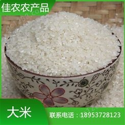 厂家专业生产大米 圆粒珍珠米 鱼台圆粒大米