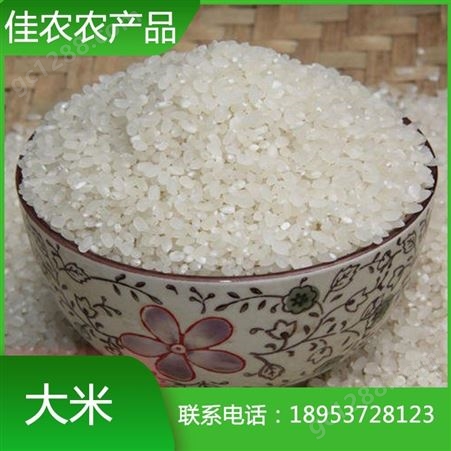 厂家专业生产大米 圆粒珍珠米 鱼台圆粒大米