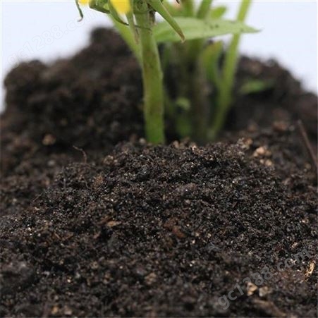 草木灰 有机肥疏松透气改良土壤有机肥料厂家