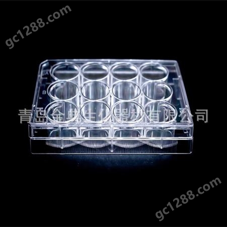 金典-超低吸附（悬浮）细胞培养板-6孔-12孔-24孔-96孔板
