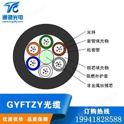 GYFTZY-24B1单模室外非金属阻燃光缆直埋光缆电信级光缆TCGD/通驰光电