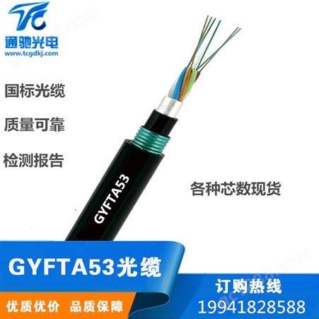 GYFTA53-24B1 单模光缆 松套管层绞光缆 非金属加强芯光缆 直埋光缆