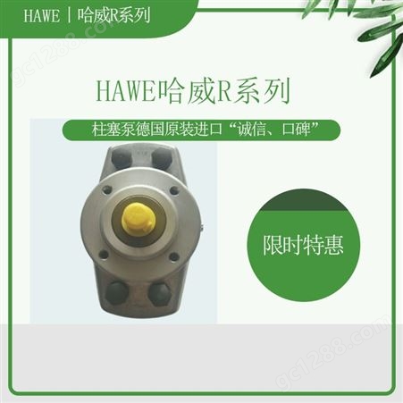 HAWE 哈威泵R5.7-1.7-1.7-0.8系列柱塞泵 液压件 液压泵