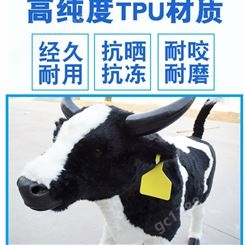 加工厂发货牛用一体耳标 适用养殖畜牧牛羊耳标价格优