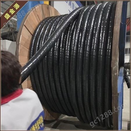 盛金源 供应 电力电缆 电缆  高压铝芯电缆  YJLV22-10KV-3X400  产地货源