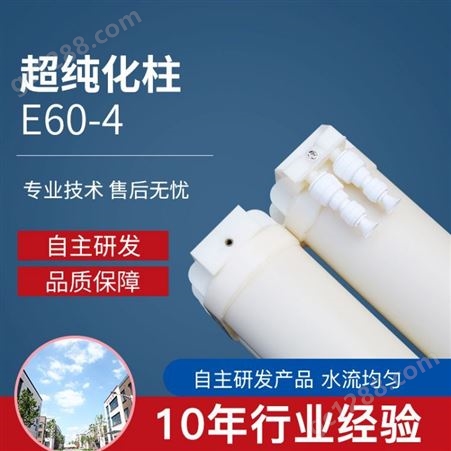 淼飞蓝诚优纯离子交换柱E60-4 超纯化柱超纯水树脂柱滤芯