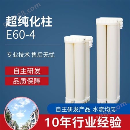 淼飞蓝诚优纯离子交换柱E60-4 超纯化柱超纯水树脂柱滤芯