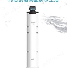 净水器加盟净水系统 汉斯顿净水器家用自来水过滤机全屋净水器超滤机HSD-5000CT