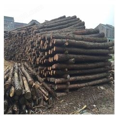 河堤河道防护栏 防汛松木桩批发 桩基修固打桩木出售