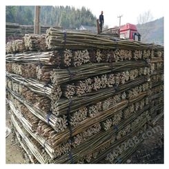 竹子产地直销各种规格竹竿 毛竹批发供应 价格实惠