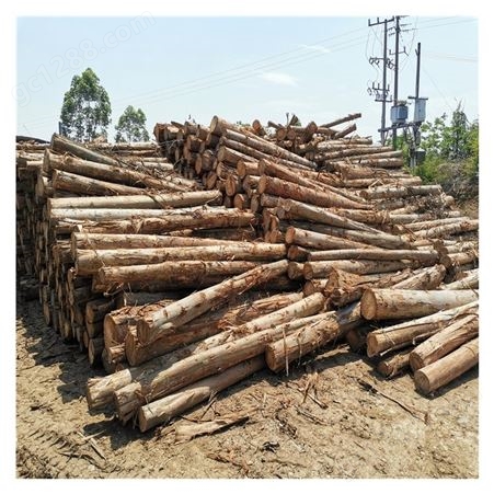 广东木材加工 桉木皮子 旋皮厂供应优质2.2mm板皮