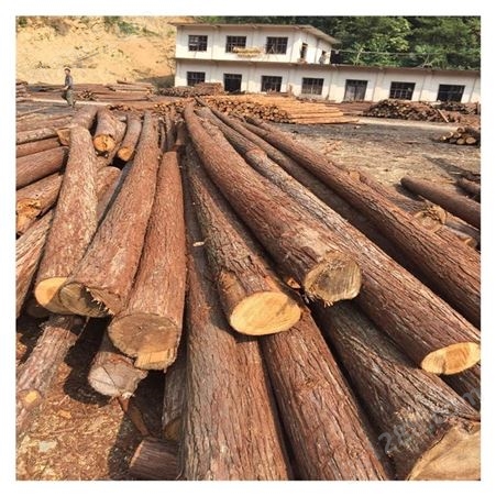 秋名山木业 收购杉木原木 杉木加工 木材批发