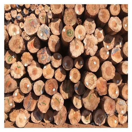 鄂州市树木支撑 两米松木杆木棍 木材加工 工艺木材出售批发