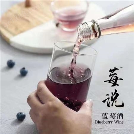莓说野蓝莓×青梅果酒8度微醺女士晚安酒330ml×2支蓝莓酒青梅酒