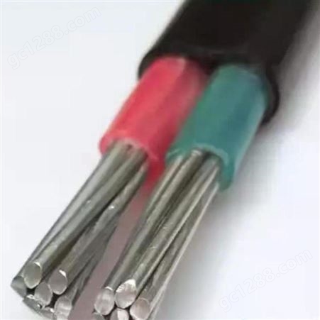  弘泰线缆有限公司 一枝秀 防老化电线铝芯电线2芯NLVVB2*10