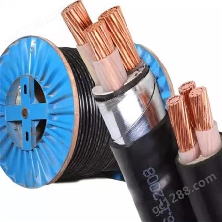  弘泰线缆有限公司 一枝秀 铜芯低压铠装电力电缆4芯YJV22-3*25+1