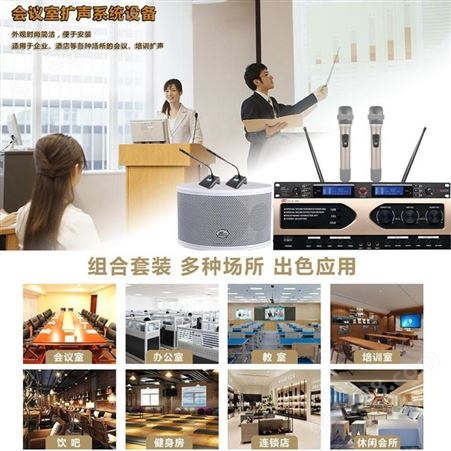 帝琪会议室扩声系统设计音视频会议系统方案设备数字无线代表机QI-3889A