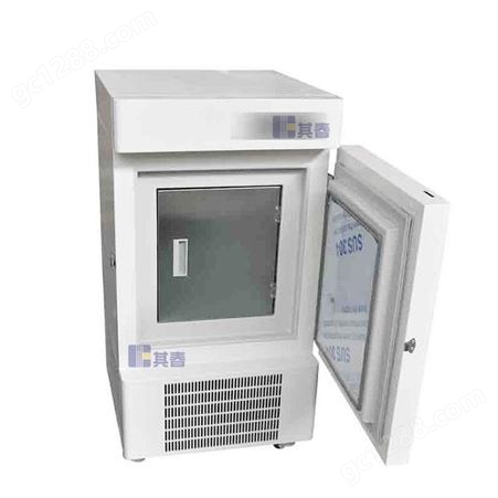 BL-60L938立式低温防爆冷冻柜-超低温防爆冰箱-其春立式防爆冰柜生产商