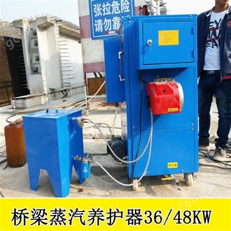 新疆区燃油型蒸汽养护器小型蒸汽发生器