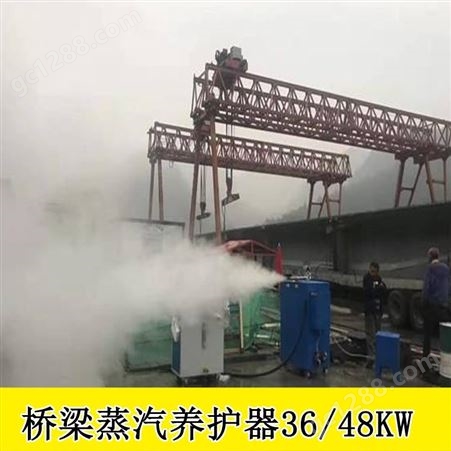 安徽安庆燃油式桥梁养护器蒸汽机隧道蒸汽养护器