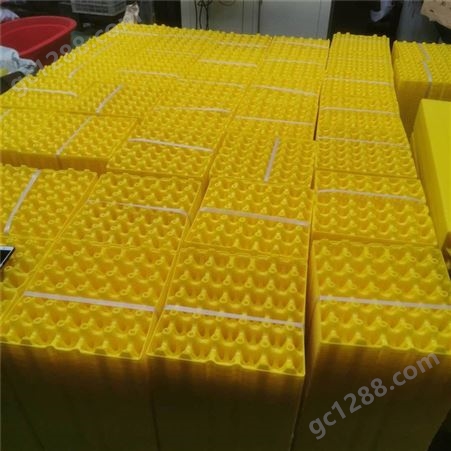 290*290*50mm塑料鸡蛋托 孵化托盘 鸡蛋塑料盒 颜色全 结实耐用