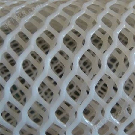 【润石】专业生产定制防虫网  防虫网厂家  塑料网  防鸟网