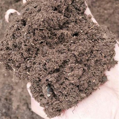 大批量现货供应东北 草炭土物料干有机质含量高常年供应品质保障