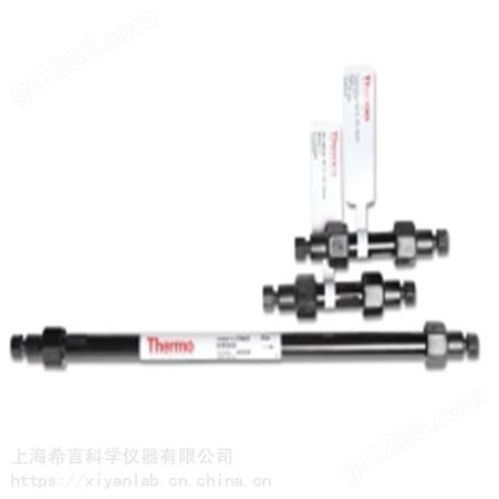 Thermo  Dionex™HPLC 色谱柱4.0*150mm – SP6906
