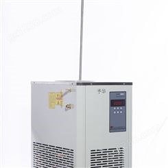 DLSB-20/80低温冷却液循环泵（低温-80°C）