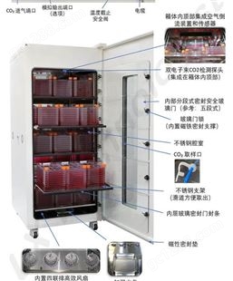 进口韩国N-BIOTEK  大型二氧化碳培养箱MAXCELL 880L
