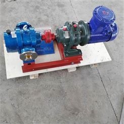出售 皮带轮罗茨泵 LC罗茨油泵 质量优良 LC高粘度罗茨泵