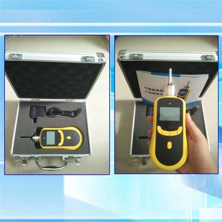 泵吸式异丙醇检测仪TD1198-C3H8O便携式异丙醇分析仪|气体分析仪
