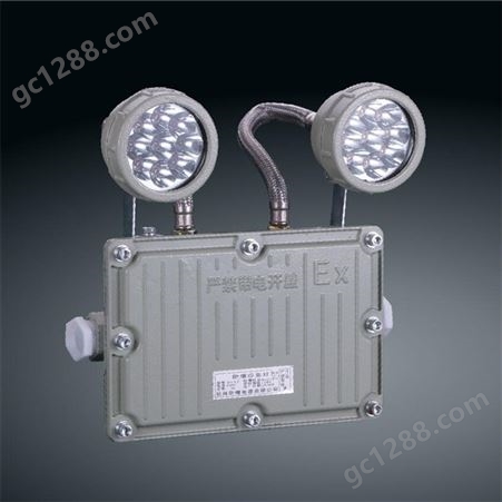 LED蓄电池双头灯  楼道应急照明双头灯安装  欢迎咨询