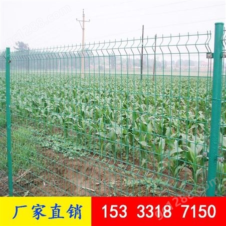 广州护栏网 高速公路安全防护网 果园隔离网 铁丝网围栏 双边丝护栏网
