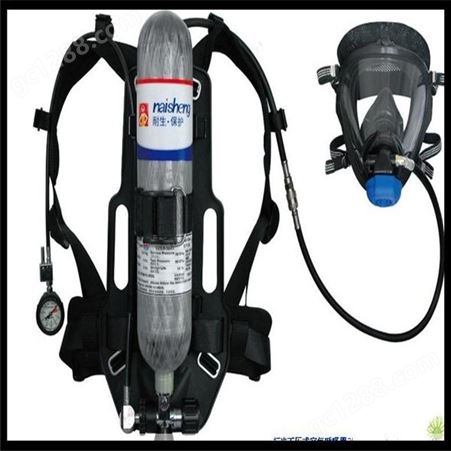 背负式呼吸器 球形面罩呼吸器 充气泵正压式呼吸器