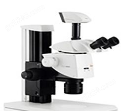 体视显微镜镜组