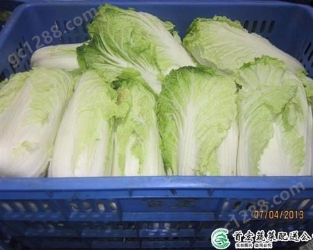 绿色蔬菜配送_新鲜蔬菜同城配送_首宏蔬菜配送公司