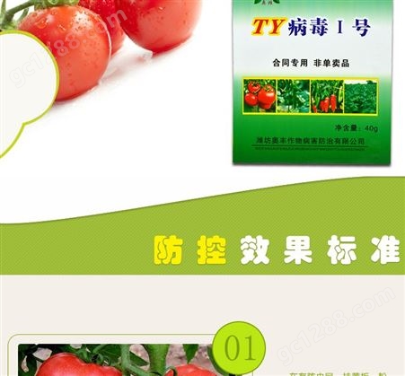 广西百色番茄病毒病、条斑病毒病选用植物源产品TY一号，抑制钝化营养补充三效合一