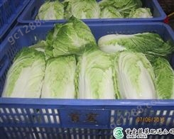 绿色蔬菜配送_新鲜蔬菜同城配送_首宏蔬菜配送公司