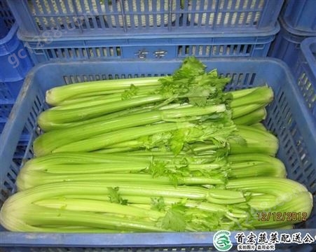 工厂蔬菜配送_公司净菜配送_首宏蔬菜配送公司
