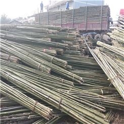 大量批发供应甘肃武威竹杆 枸杞树苗用的各类优质绑竹杆