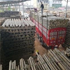 树木支撑杆 绿化支撑杆 2米3米毛竹 竹尾 源头供应 厂家发货