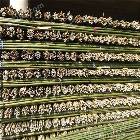 产地于支撑密植苹果树苗用的4米2-3公分粗的小竹竿 京西竹竿