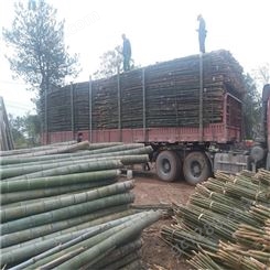 产地直销4米5米6米苦竹杆子 围海造地用的竹子
