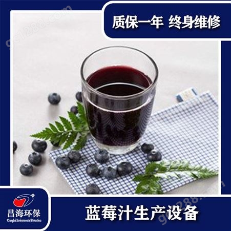 甘肃定西蓝莓汁生鲜压榨设备网红饮料生产线果汁饮品灌装机新疆