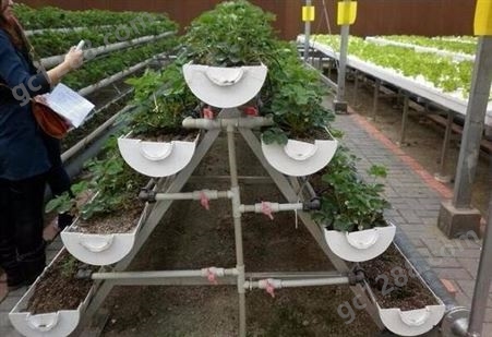 育苗基质 绿田国际 营养土 蔬菜 果树底肥